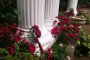 columns-with-flowers